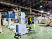 Máy phay CNC 3D 2 đầu làm việc 2 bàn kép Woodmaster mới nhất 2025 13566