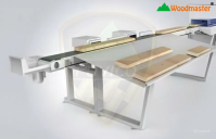 Máy CNC AI phân loại phôi theo màu sắc WM-250AI-CL Woodmaster | Tự động, chính xác, tốc độ cao 2025 13609