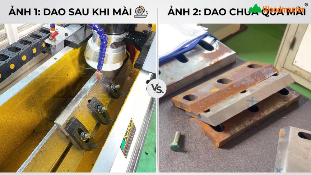 MÁY MÀI DAO THẲNG TỰ ĐỘNG WOODMASTER 14427
